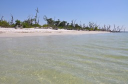 Sanibel The Island-003