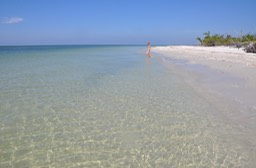 Sanibel The Island-004