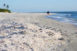 Sanibel The Island-008