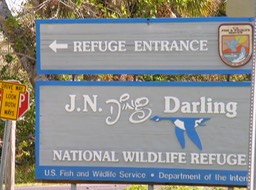 Sanibel The Island-011